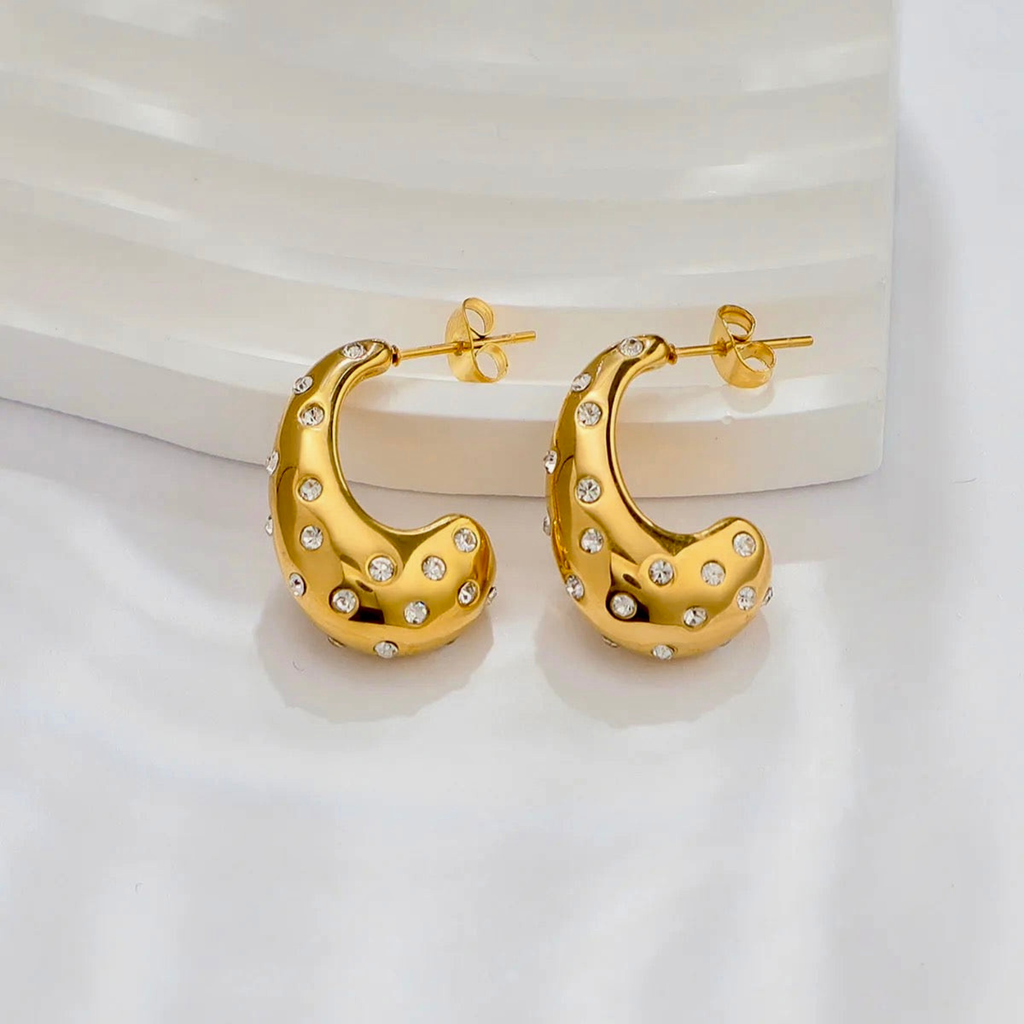 Rain Drop Zircon Studded Earrings