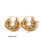 Dior Chunky Hoops