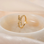 Areena Ring
