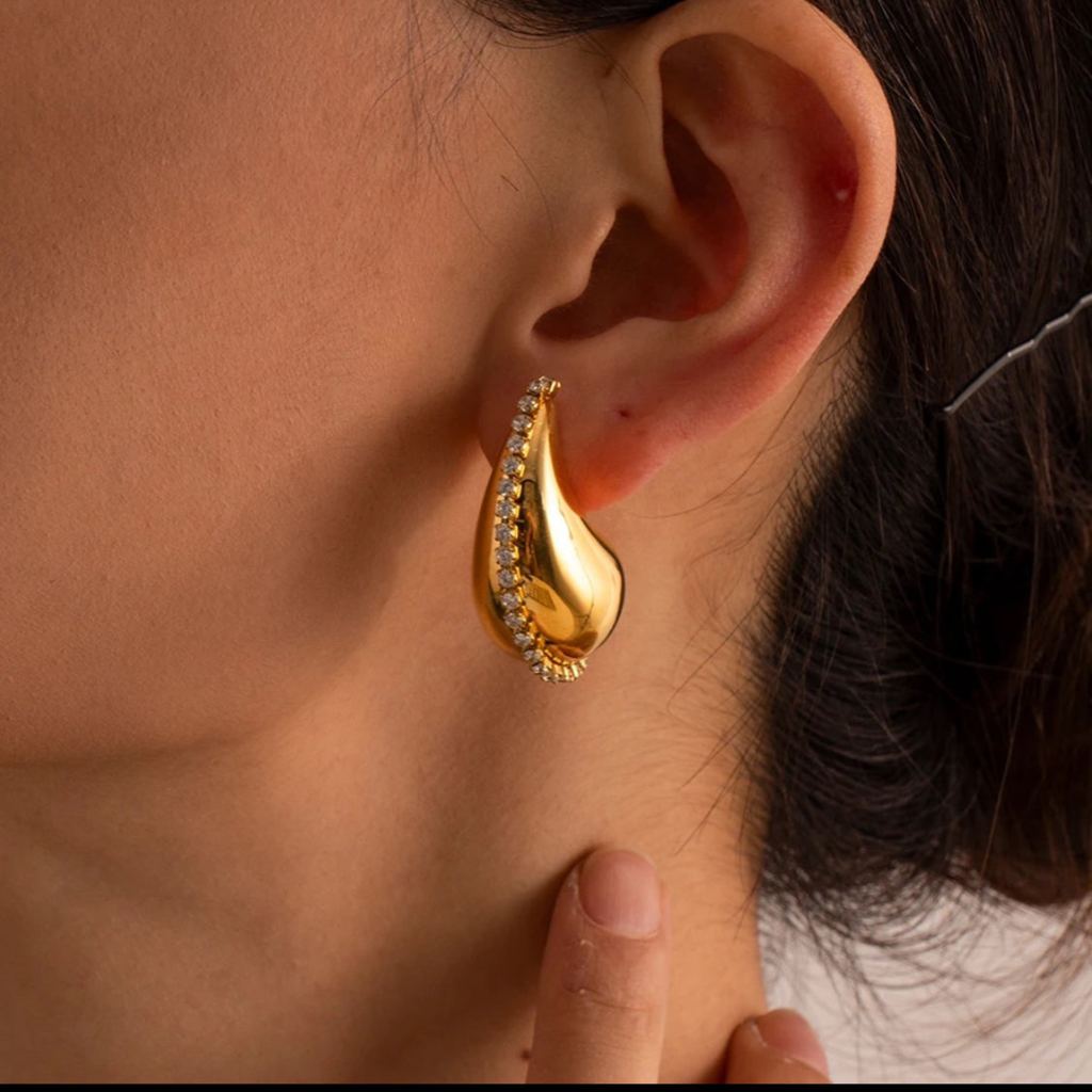 Prettiest Botega Earrings