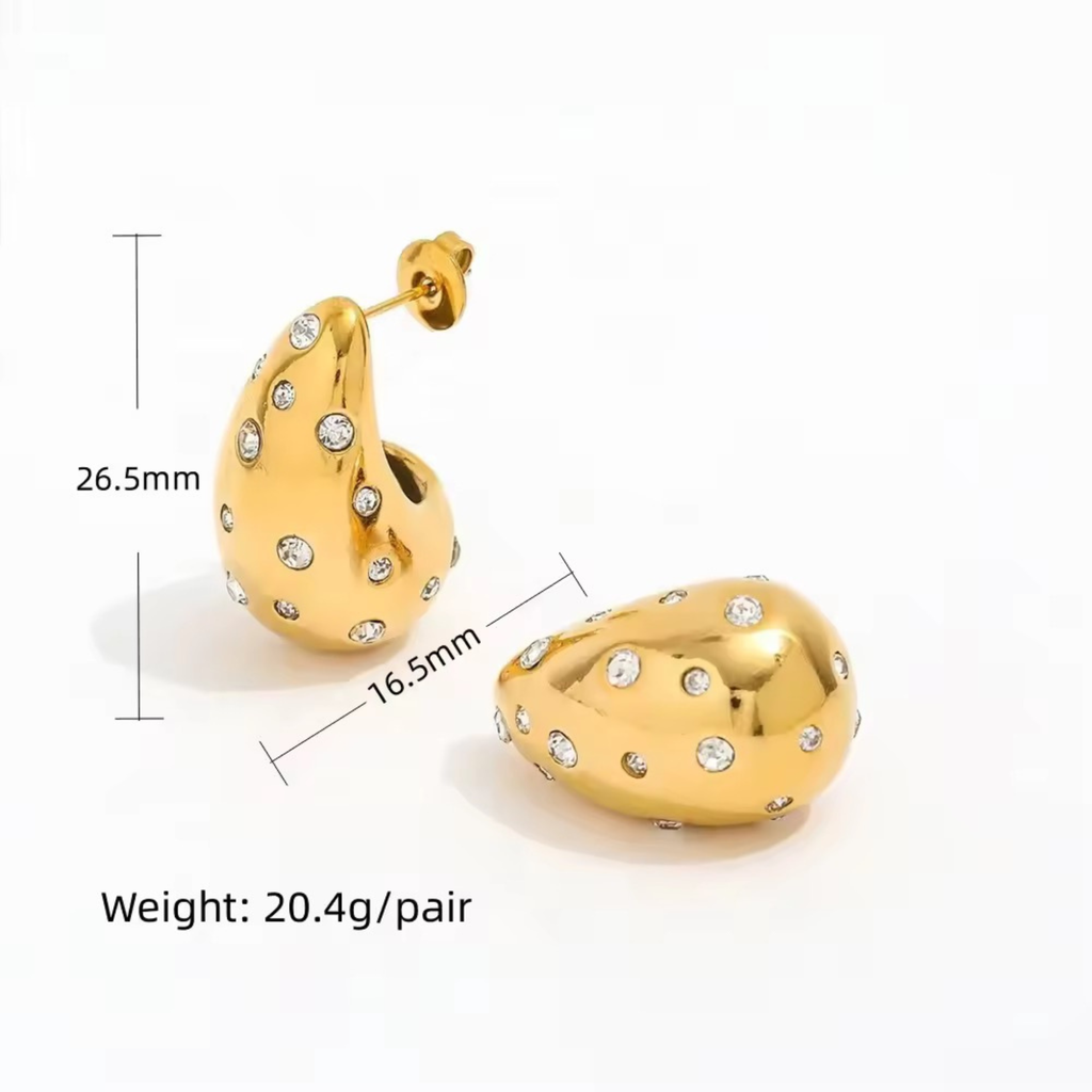 Botega Zircon Studded Earrings