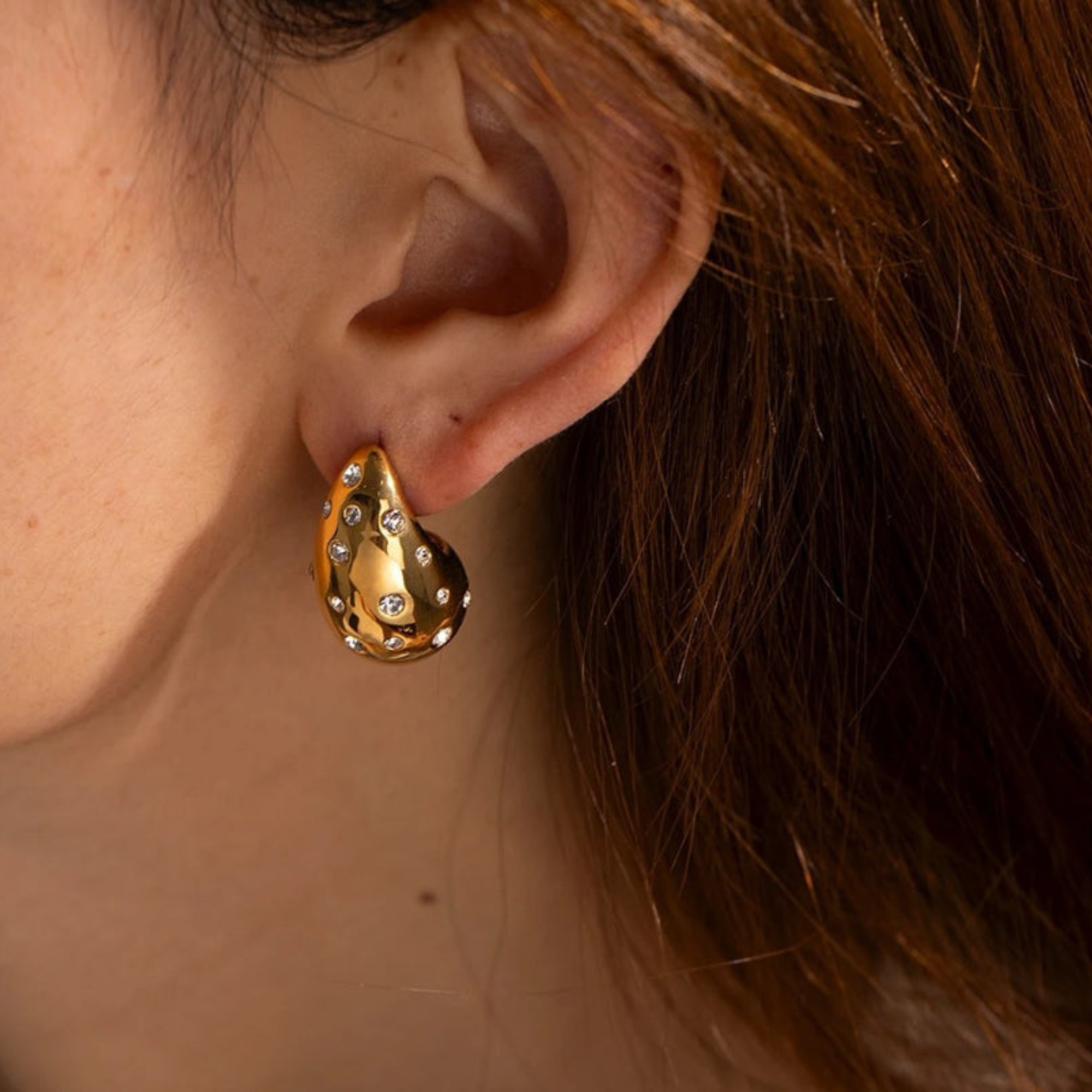 Botega Zircon Studded Earrings