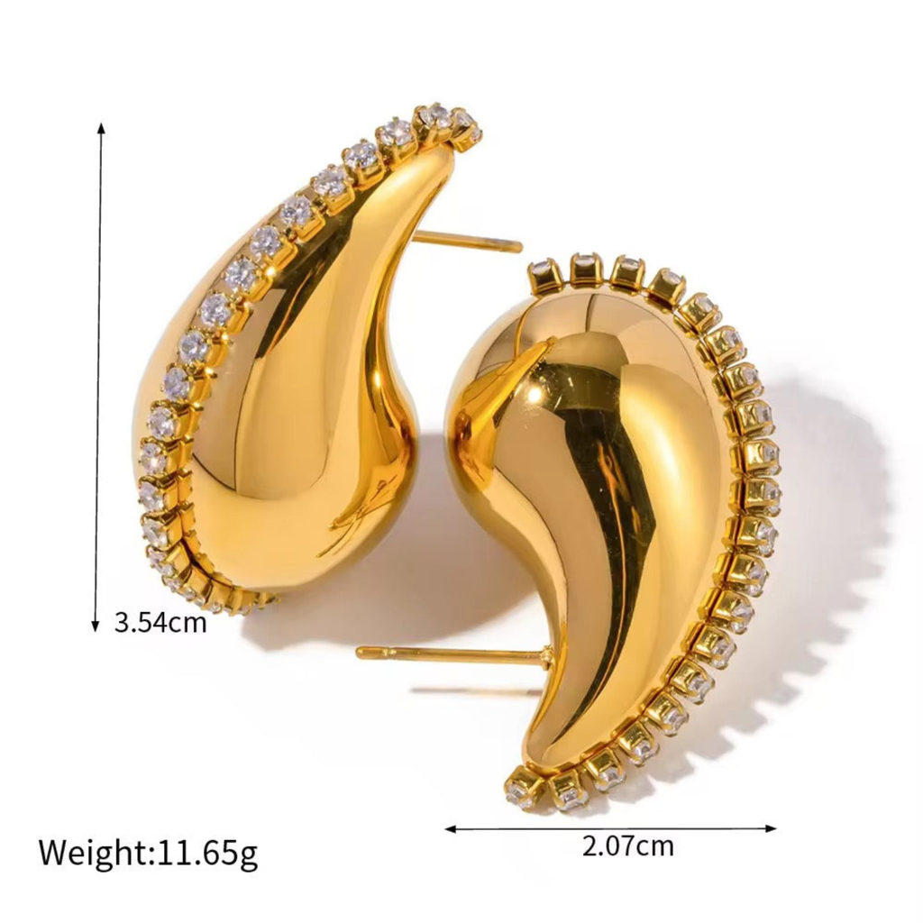 Prettiest Botega Earrings